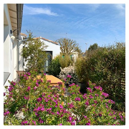 Bed and Breakfast Maison d'Hôtes Les Petites Terres à Sainte-Marie-de-Ré Extérieur photo